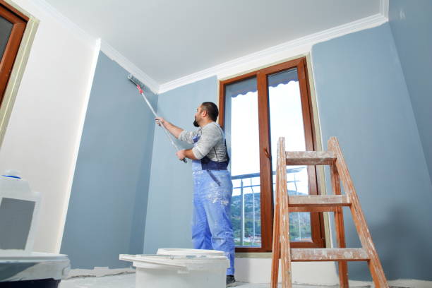 Best HVAC Mold Inspection and Cleaning  in Hlcrest, IL