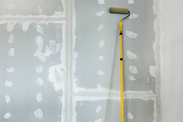 Best Environmental Consulting for Mold Prevention  in Hlcrest, IL
