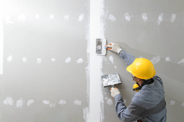 Best Airborne Mold Testing  in Hlcrest, IL
