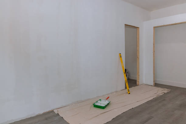 Best Emergency Mold Remediation  in Hlcrest, IL