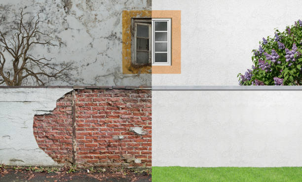 Best Basement Mold Removal  in Hlcrest, IL